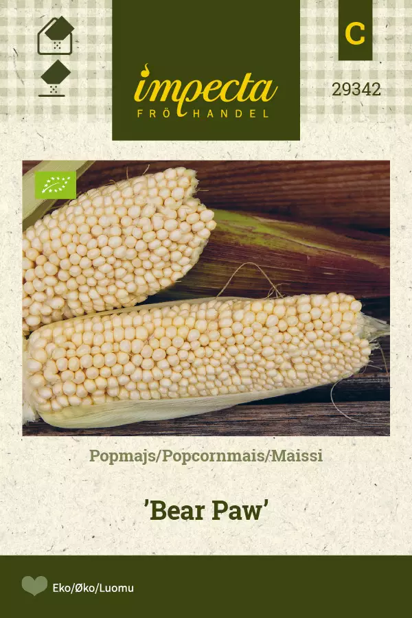 Maissi, popcorn- siemen - Annossiemenet - 7332756293423 - 1