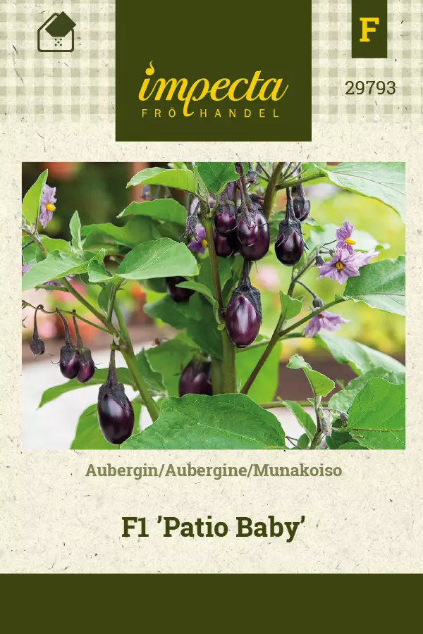 Munakoiso siemen - Annossiemenet - 7332756297933 - 1