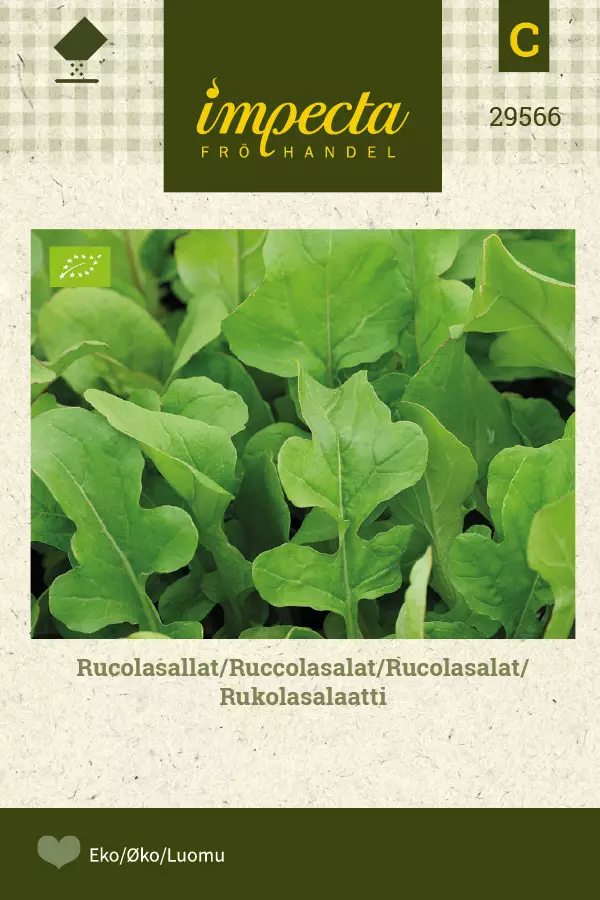 Rukola/sinappikaali siemen - Annossiemenet - 7332756295663 - 1