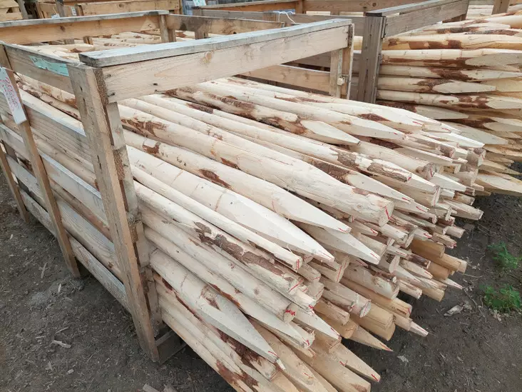 Tukiseiväs 200cm punainen - Kasvintuenta - AB10010011223 - 1