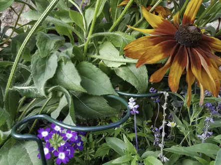 Tuki, aalto - Kasvintuenta - 6430068430114 - 1