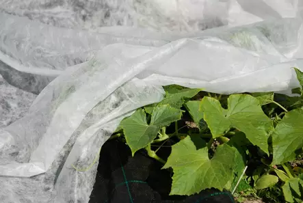 Hallaharso, leveys 2,1m - Harsot - 6430040621554 - 1