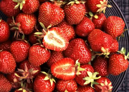 Mansikka Bounty FinE® satotaimi - Mansikat - AB00000000114 - 1