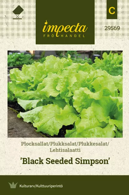 Salaatti, lehti- siemen - Annossiemenet - 7332756295694 - 1