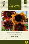 Auringonkukka, puna- siemen - Annossiemenet - 7332756284254 - 1