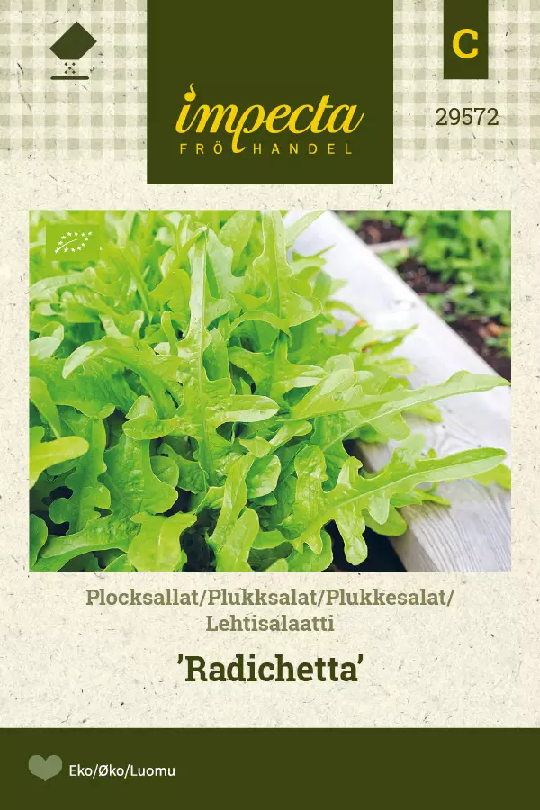 Salaatti, lehti- siemen - Annossiemenet - 7332756295724 - 1