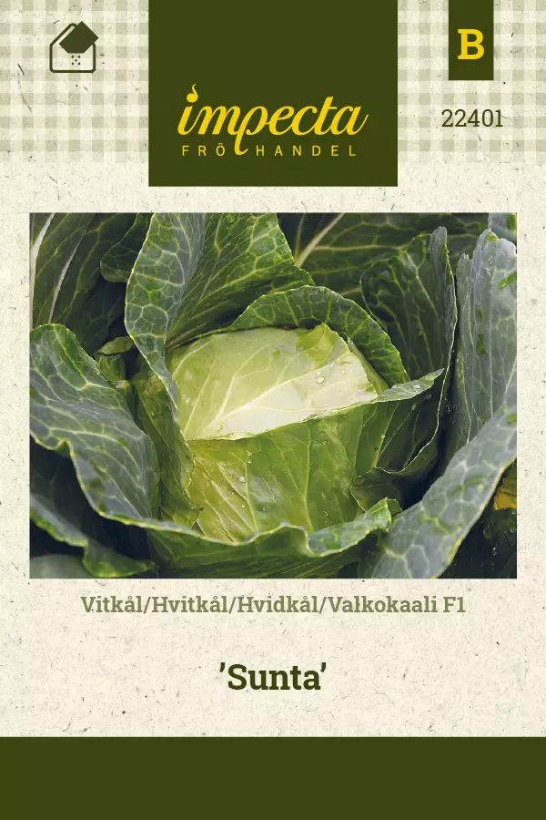 Kaali, valko- siemen - Annossiemenet - 7332756224014 - 1