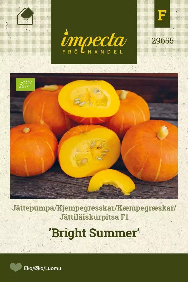 Kurpitsa, jätti- siemen - Annossiemenet - 7332756296554 - 1