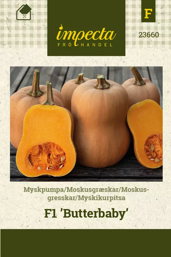 Kurpitsa, myski siemen - Annossiemenet - 7332756236604 - 1