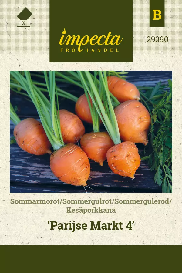 Porkkana, kesä- siemen - Annossiemenet - 7332756293904 - 1