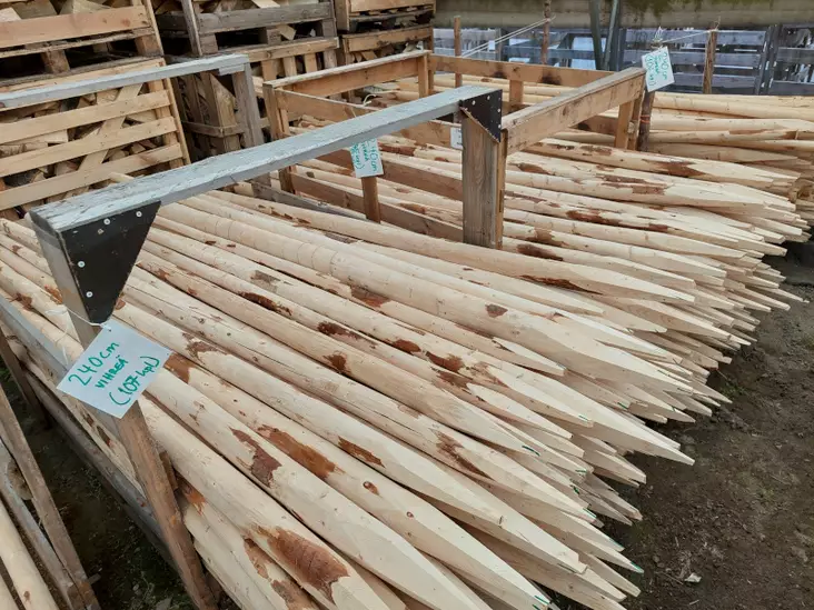 Tukiseiväs 240/250cm vihreä - Kasvintuenta - AB10010011224 - 1