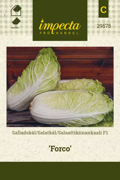 Kaali, kiinan/salaatti- siemen - Annossiemenet - 7332756295755 - 1