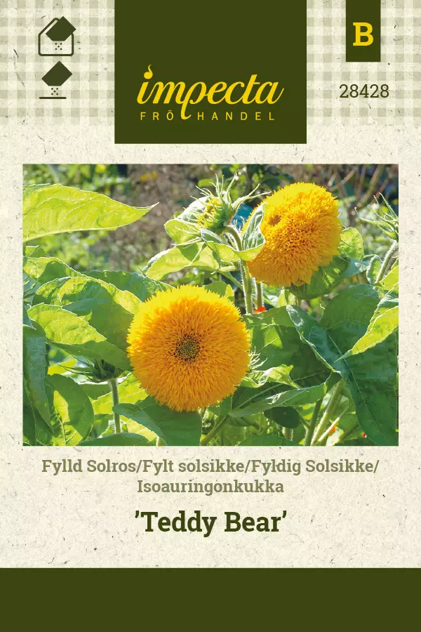 Auringonkukka, iso- siemen - Annossiemenet - 7332756284285 - 1