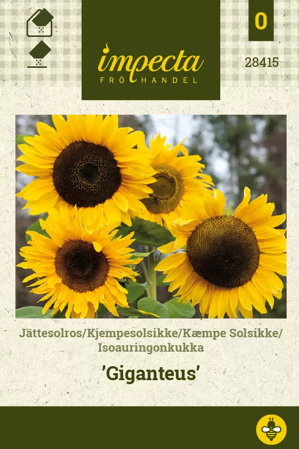 Auringonkukka, iso- siemen - Annossiemenet - 7332756284155 - 1