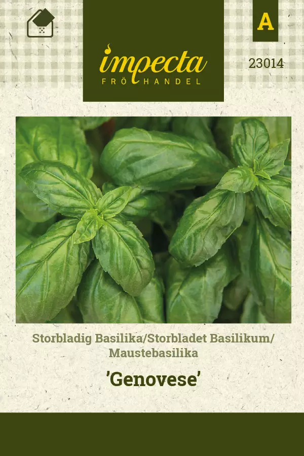 Basilika, mauste- siemen - Annossiemenet - 7332756230145 - 1