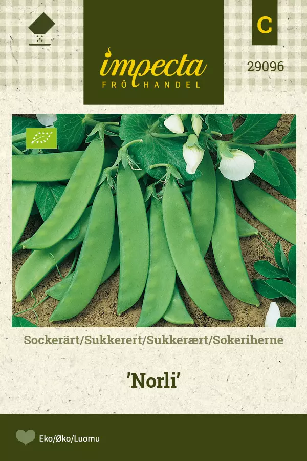 Herne, sokeri- siemen - Annossiemenet - 7332756290965 - 1