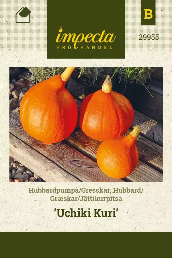 Kurpitsa, jätti- siemen - Annossiemenet - 7332756299555 - 1