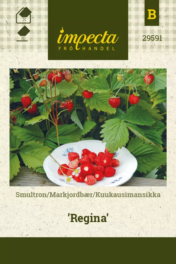 Mansikka, aho- siemen - Annossiemenet - 7332756295915 - 1