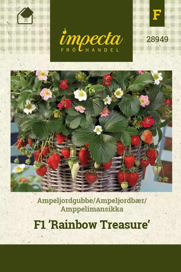 Mansikka, puutarha- siemen - Annossiemenet - 7332756289495 - 1