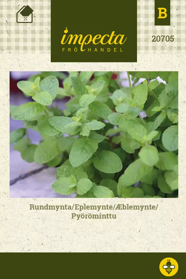 Minttu siemen - Annossiemenet - 7332756207055 - 1