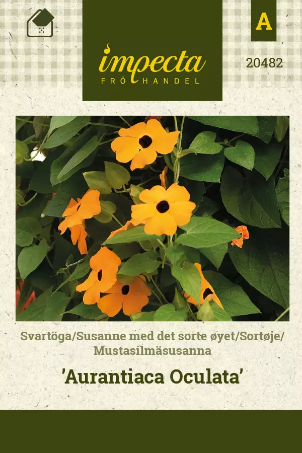 Mustasilmäsusanna siemen - Annossiemenet - 7332756204825 - 1