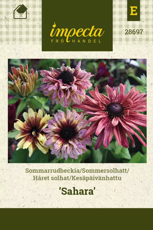 Päivänhattu, kesä- siemen - Annossiemenet - 7332756286975 - 1