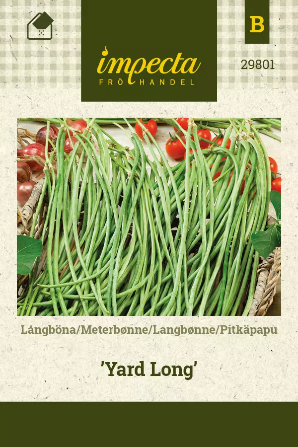 Papu, pitkä- siemen - Annossiemenet - 7332756298015 - 1