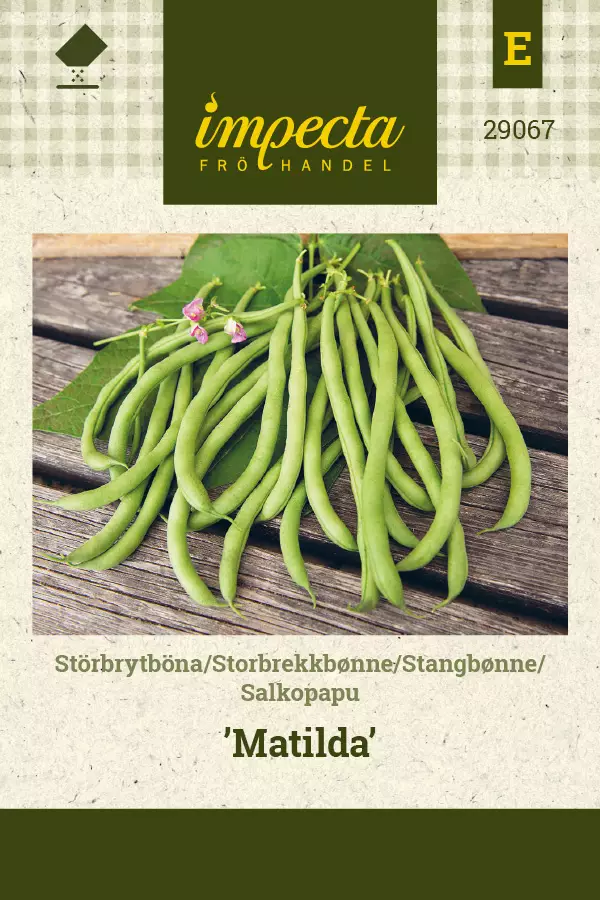 Papu, salko- siemen - Annossiemenet - 7332756290675 - 1