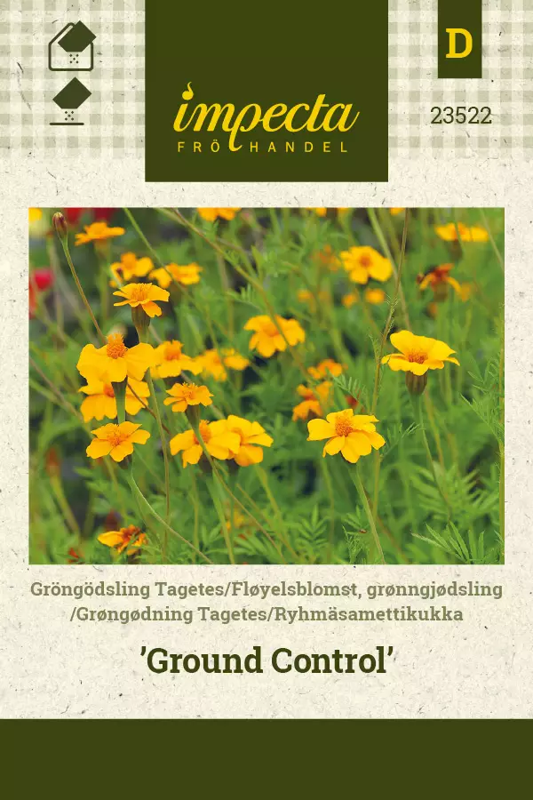 Samettikukka, ryhmä- siemen - Annossiemenet - 7332756235225 - 1