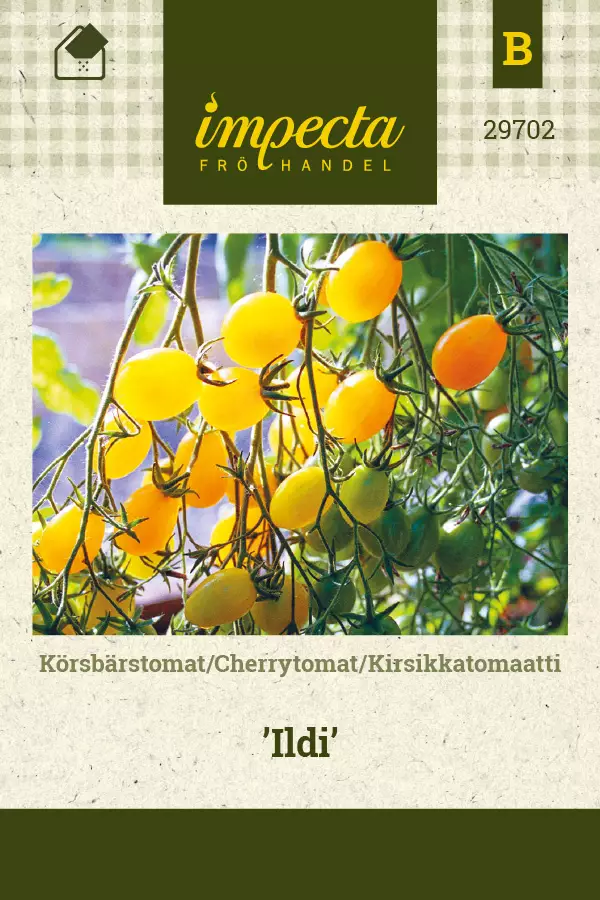 Tomaatti, kirsikka- siemen - Annossiemenet - 7332756297025 - 1