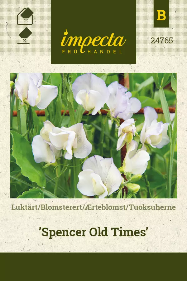 Tuoksuherne siemen - Annossiemenet - 7332756247655 - 1