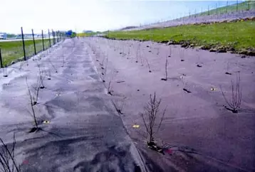 Weed Killer 2 m - Katekankaat - 3940714391445 - 1