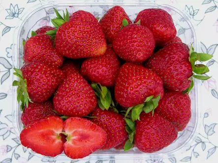 Mansikka Ria satotaimi - Mansikat - AB10010010366 - 2