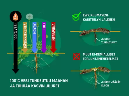 Rikkaruohojen torjuntalaite - Koneet ja laitteet - AB10010012386 - 2