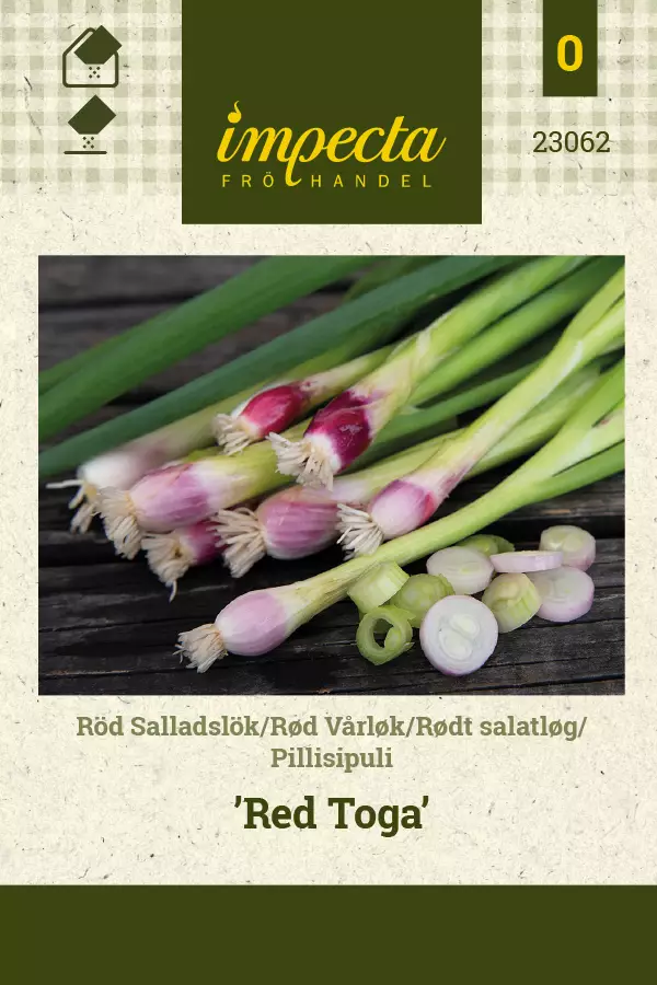 Sipuli, talvi/pilli- siemen - Annossiemenet - 7332756230626 - 1