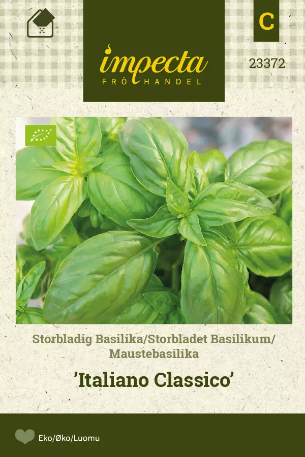Basilika, suurilehtinen siemen - Annossiemenet - 7332756233726 - 1