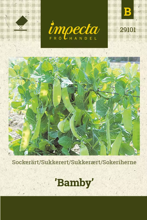 Herne, sokeri- siemen - Annossiemenet - 7332756291016 - 1