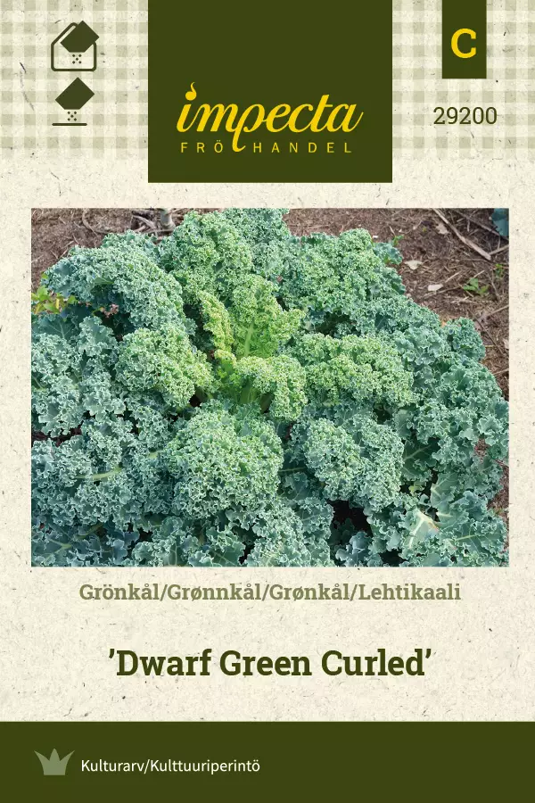 Kaali, lehti- siemen - Annossiemenet - 7332756292006 - 1