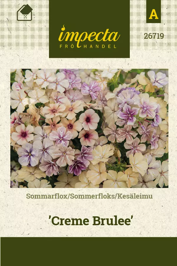 Kesäleimu siemen - Annossiemenet - 7332756267196 - 1