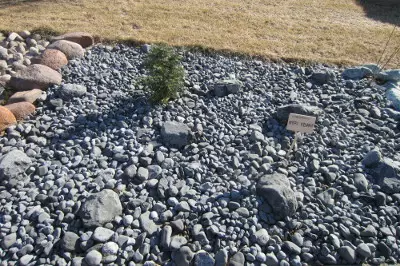 Italia kivi, Nero Ebano, musta, 25 kg - Koristekivet - 3952705411766 - 1