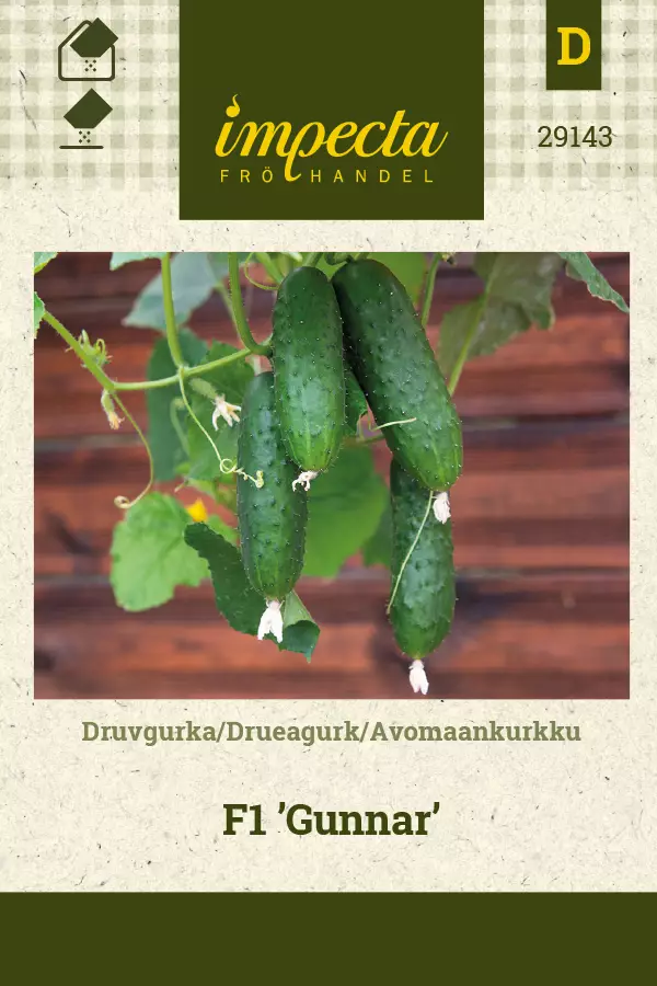 Kurkku, avomaan- siemen - Annossiemenet - 7332756291436 - 1