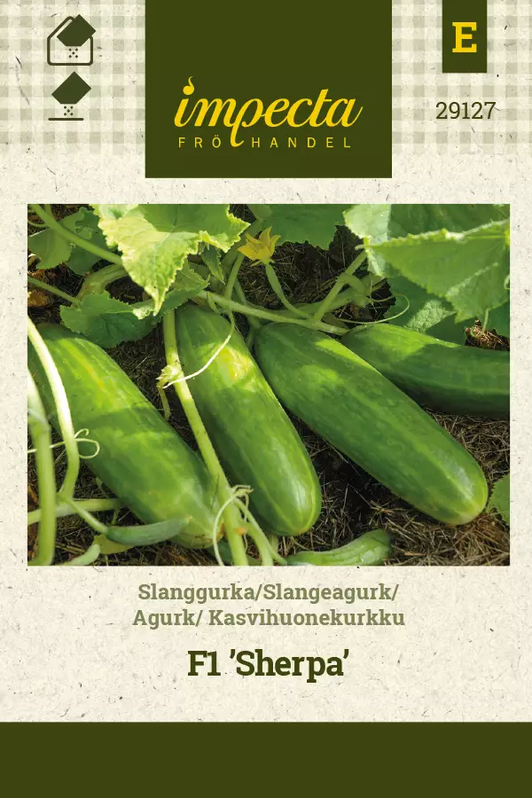 Kurkku, kasvihuone- siemen - Annossiemenet - 7332756291276 - 1