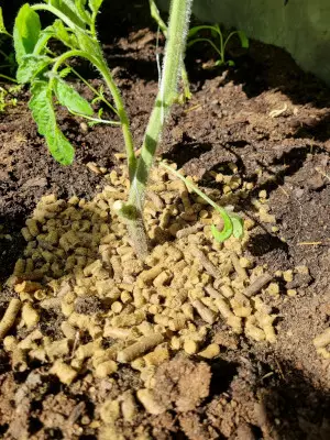 Lampaanvillapelletti 1kg - Muut työkalut ja tarvikkeet - 6430068433566 - 1