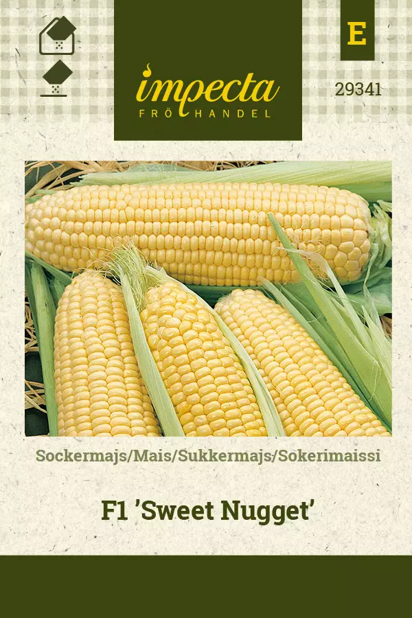 Maissi siemen - Annossiemenet - 7332756293416 - 1