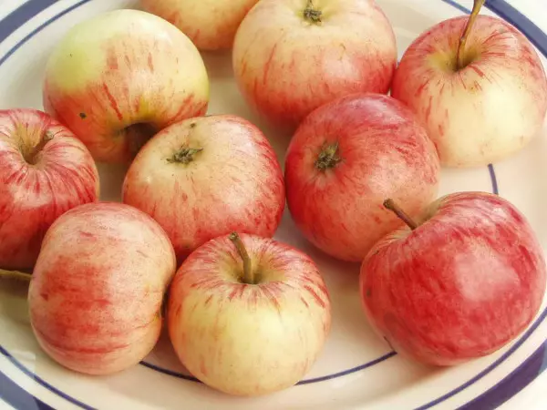 Omenapuu Sariola 150-200 - Omenapuut - 3940534063706 - 1