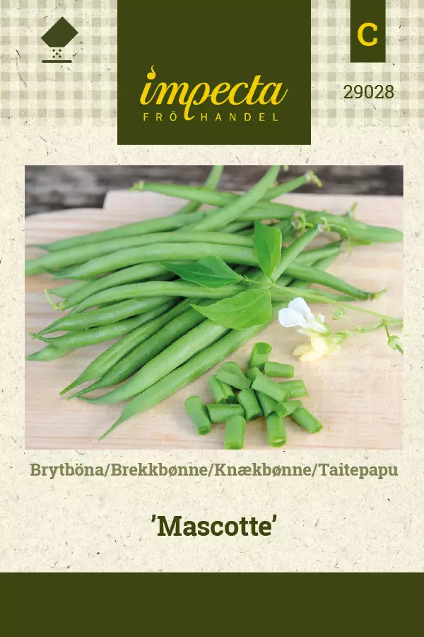 Papu, taite- siemen - Annossiemenet - 7332756290286 - 1