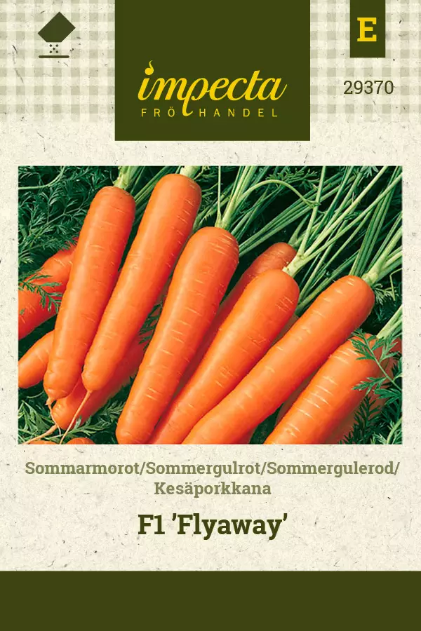 Porkkana, kesä- siemen - Annossiemenet - 7332756293706 - 1