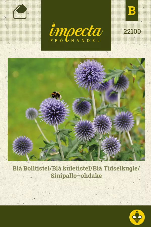 Sinipallo-ohdake siemen - Annossiemenet - 7332756221006 - 1