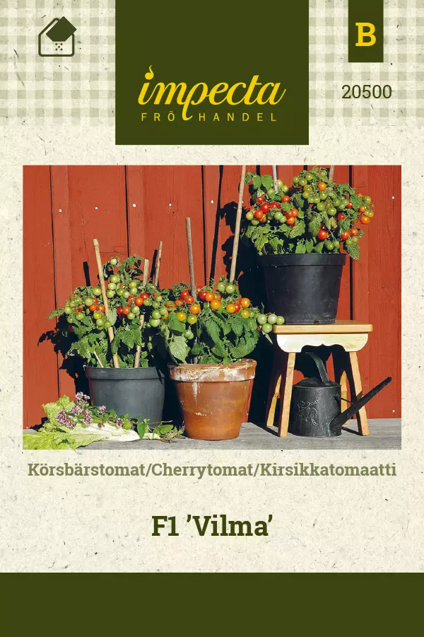 Tomaatti, pensas- siemen - Annossiemenet - 7332756205006 - 1