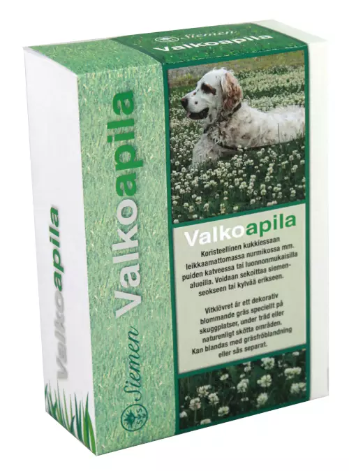 Valkoapila 0,5kg - Nurmikon siemenet - 6415152706016 - 1